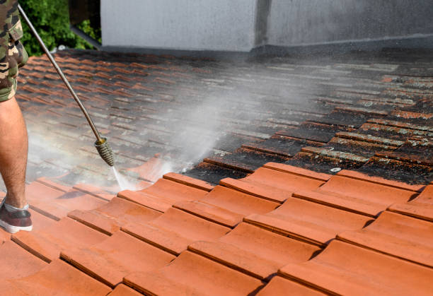 Why Choose Our Certified Pressure Washing Experts for Your Project Needs in Nocatee, FL?