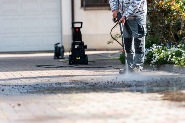 Best Roof Pressure Washing  in Nocatee, FL