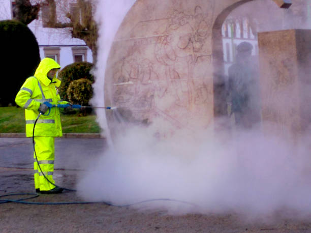 Best House Pressure Washing  in Nocatee, FL