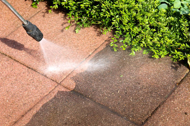 Best Best Pressure Washing Companies  in Nocatee, FL